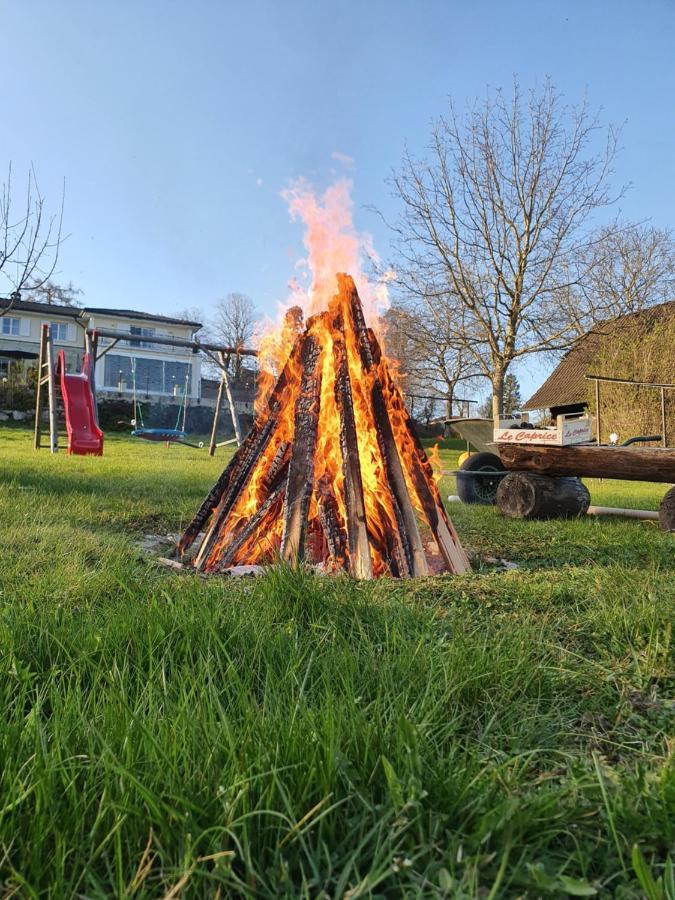 Ferienhof Leopold In Der Grub Ort im Innkreis Exterior foto